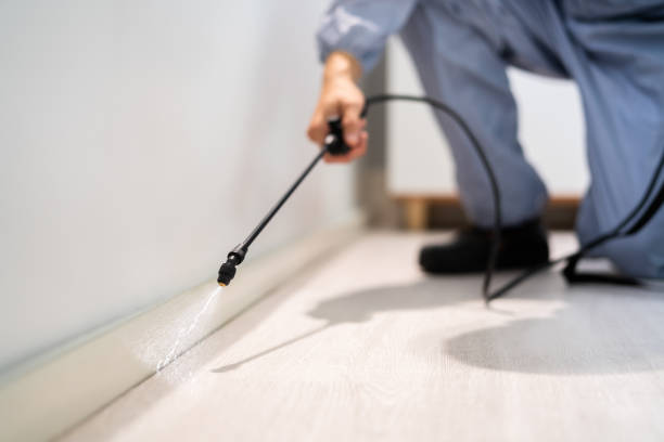 Bed Bug Pre-Treatment Preparation Assessment in Stevens Point