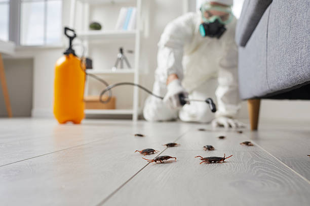 Post-Treatment Bed Bug Interceptor Monitoring in Stevens Point