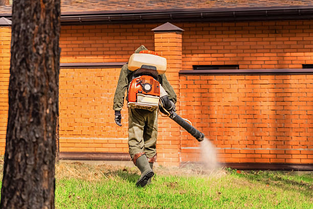 Bed Bug Clearance Verification and Documentation in Stevens Point
